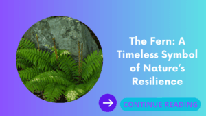 The Fern: A Timeless Symbol of Nature’s Resilience