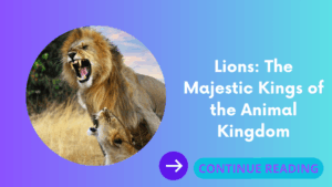 Lions: The Majestic Kings of the Animal Kingdom