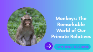Monkeys: The Remarkable World of Our Primate Relatives