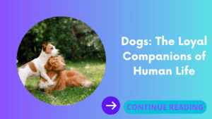 Dogs: The Loyal Companions of Human Life