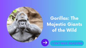 Gorillas: The Majestic Giants of the Wild