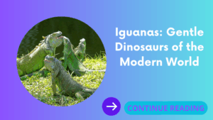Iguanas: Gentle Dinosaurs of the Modern World